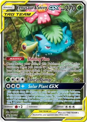 Venusaur and Snivy GX SM229