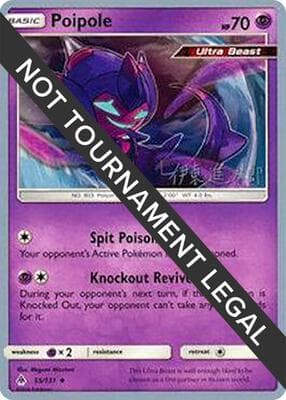 Poipole 55 2019 Shintaro Ito