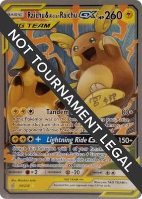 Raichu and Alolan Raichu GX 2019 Haruki Miyamoto