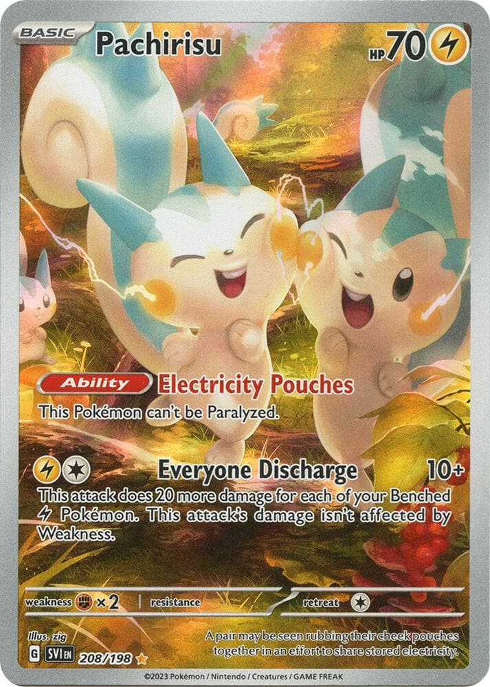 Pachirisu 208 198