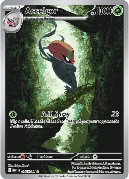 Accelgor 094 086