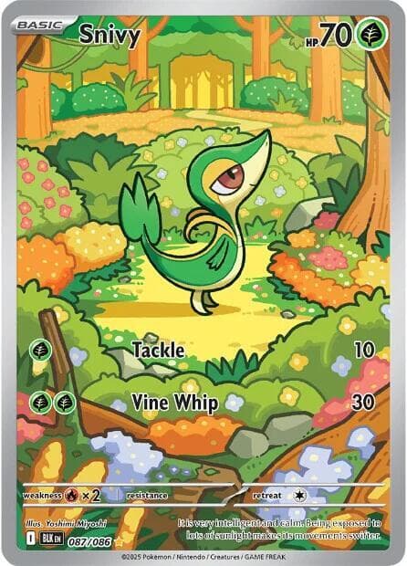 Snivy 087 086