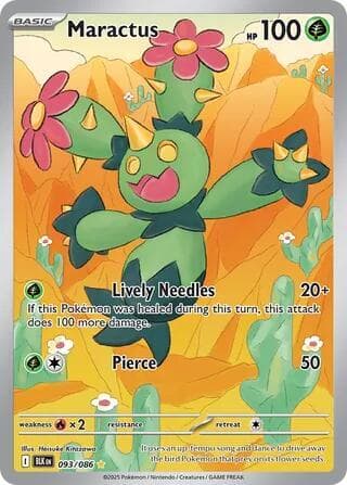 Maractus 093 086