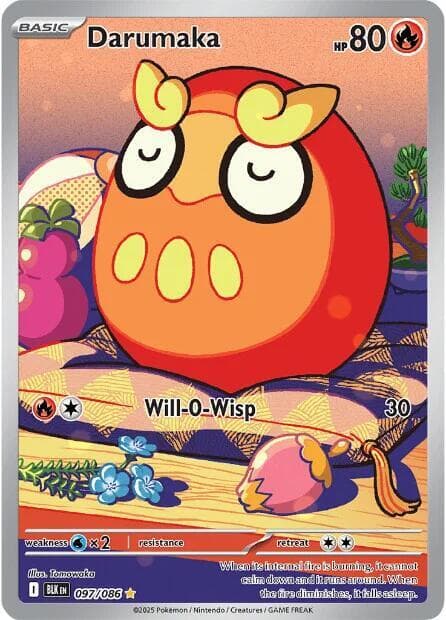 Darumaka 097 086