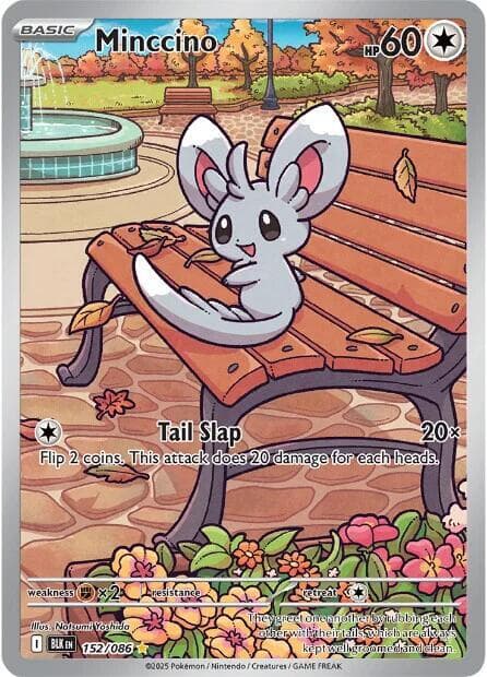 Minccino 152 086