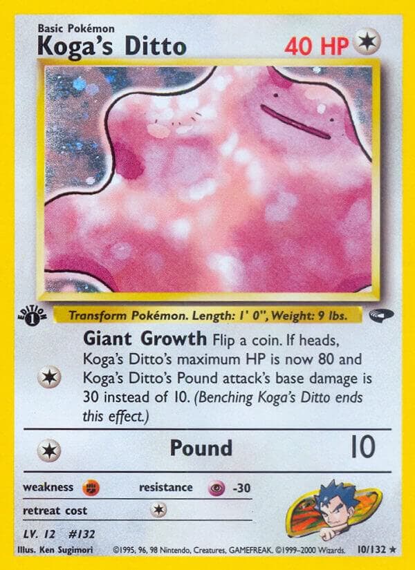 Kogas Ditto