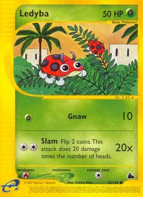 Ledyba 73