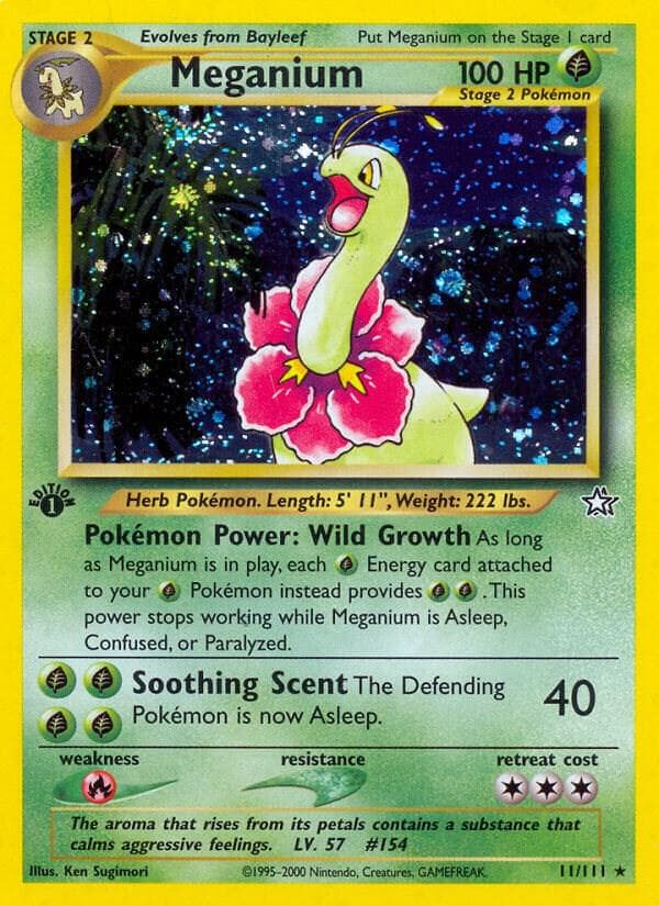 Meganium 11