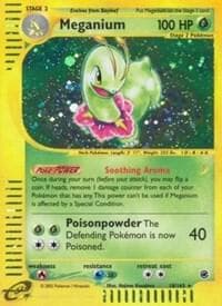Meganium 18