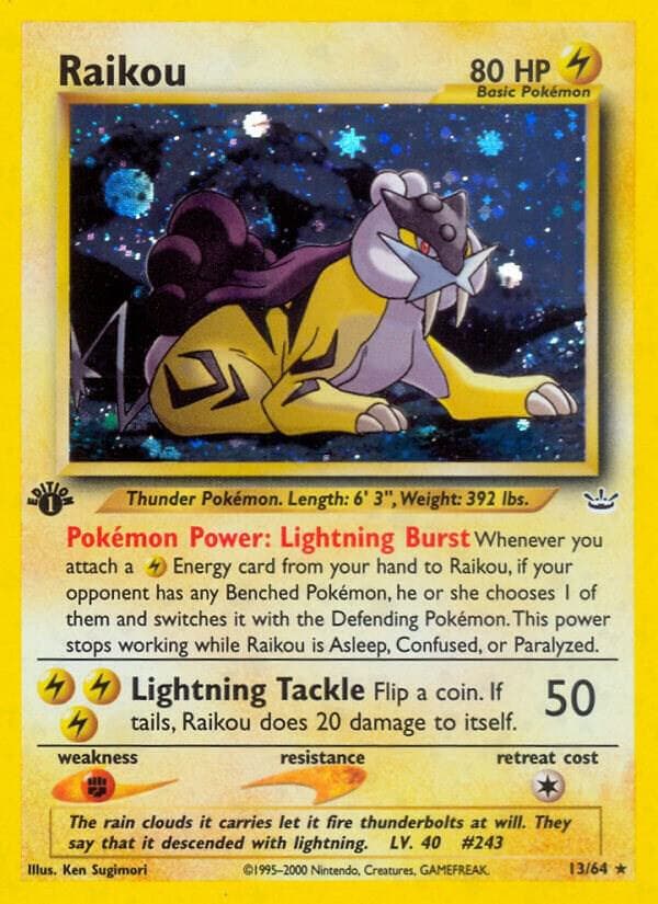 Raikou 13