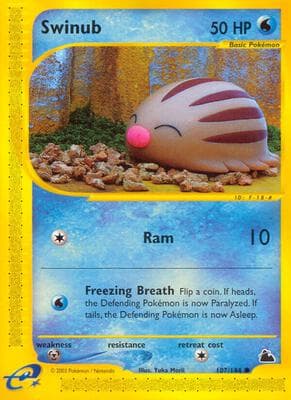 Swinub 107