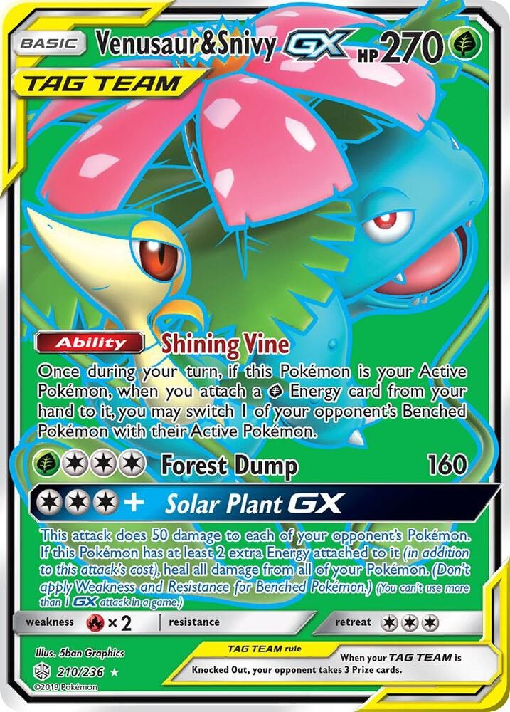 Venusaur and Snivy GX Full Art