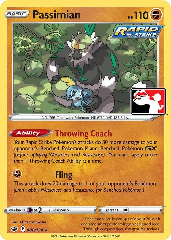 Passimian 088 198