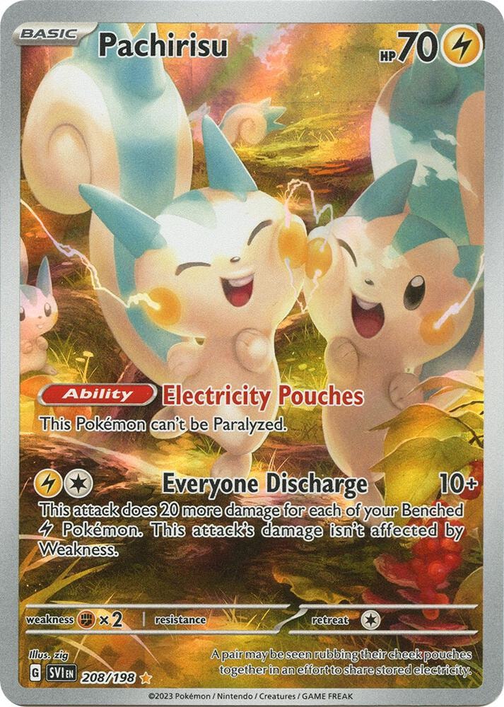 Pachirisu 208 198