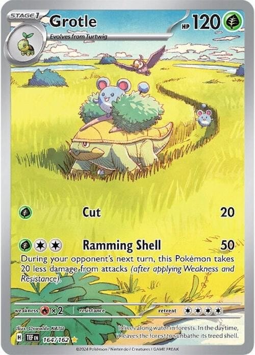 Grotle 164 162
