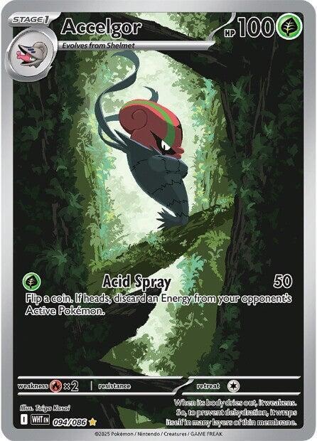 Accelgor 094 086