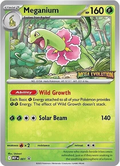 Meganium 001