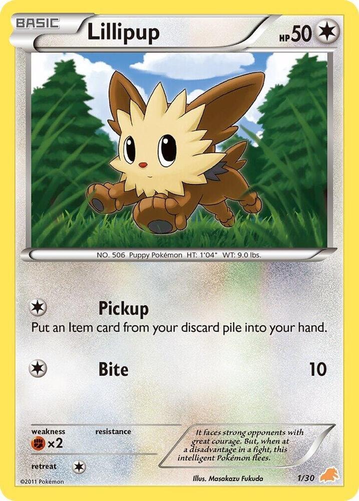 Lillipup 1