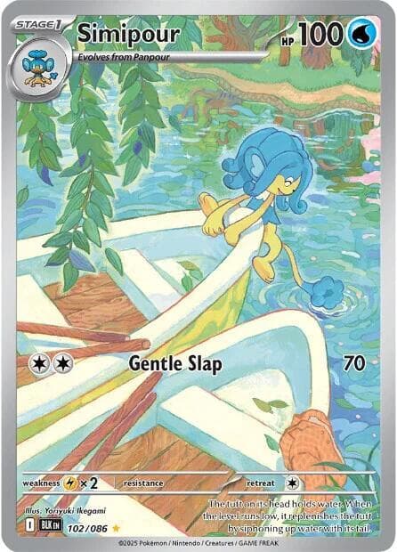 Simipour 102 086