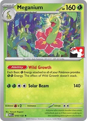 Meganium 010 132